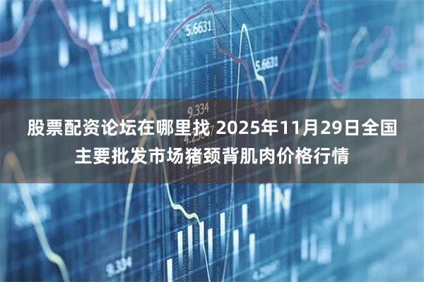 股票配资论坛在哪里找 2025年11月29日全国主要批发市场猪颈背肌肉价格行情